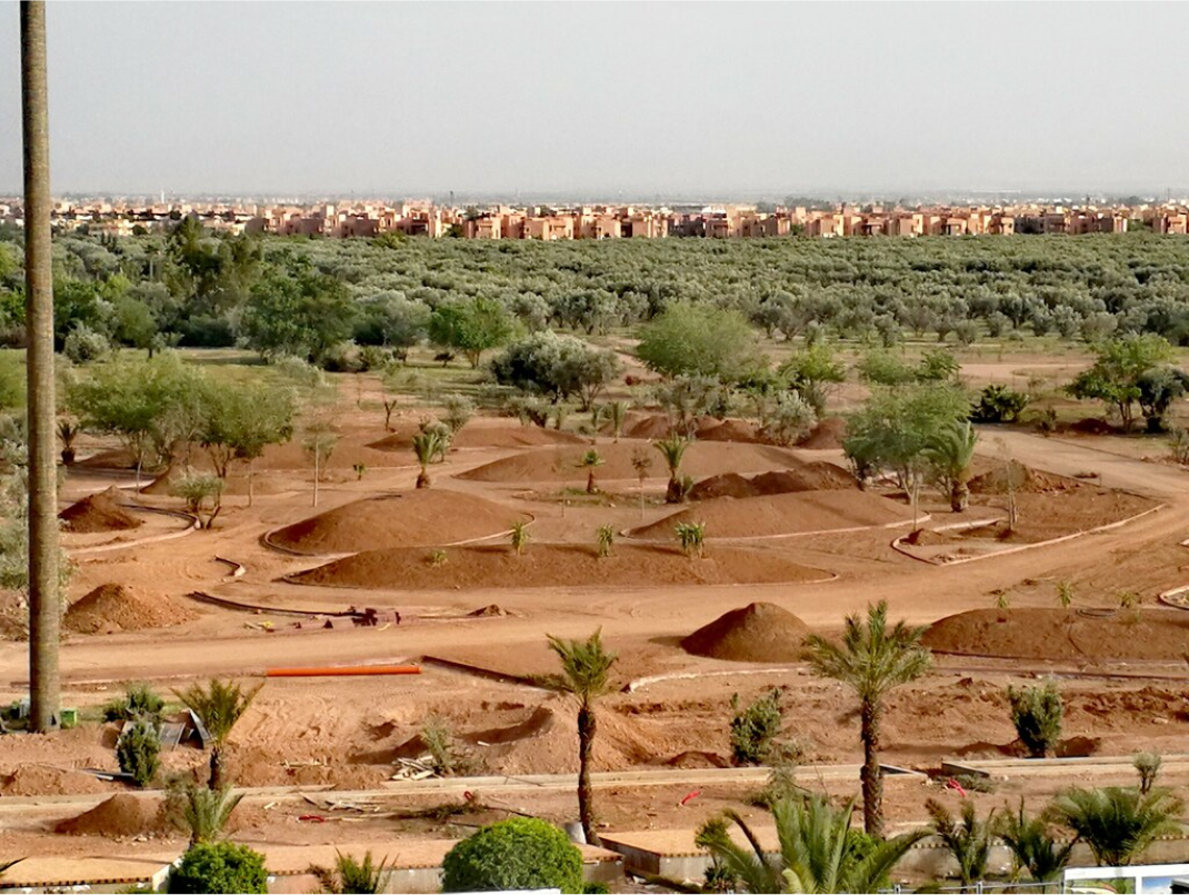 Parc Zitoune : un souffle de liberté à Marrakech