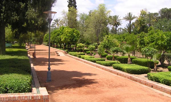 Cyber Parc : l’innovation connectée au cœur de Marrakech